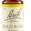 Schwabe Pharma Wild Rose - Fiore di Bach Tonificante Contro l'Apatia, 20 ml