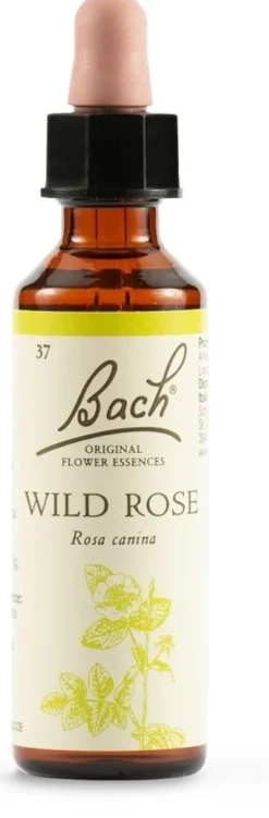 Schwabe Pharma Wild Rose - Fiore di Bach Tonificante Contro l'Apatia, 20 ml