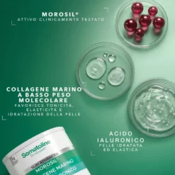 Somatoline Slim Advanced Integratore in polvere snellente e tonificante, 275 g
