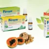 Specchiasol Infuso Bio Gusto Tè Verde, 20 filtri