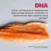 Swisse Omega 3 Concentrato - Integratore per la funzione cardiaca e i trigliceridi, 60 capsule