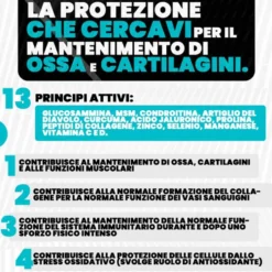 T-Rex Articoss - Integratore alimentare per il benessere di articolazioni e ossa, 60 compresse