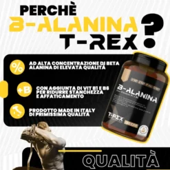 T-Rex Beta-Alanina Integratore Post Workout con Vitamine B1-B6 Precursore Carnosina, 120 Compresse