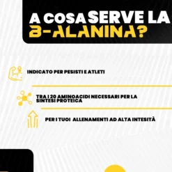 T-Rex Beta-Alanina Integratore Post Workout con Vitamine B1-B6 Precursore Carnosina, 120 Compresse