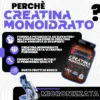 T-Rex Creatina monoidrato ai frutti di bosco - Integratore polvere per prestazioni fisiche, 250 g