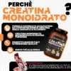 T-Rex Creatina Monoidrato Polvere Integratore per Sportivi in Polvere Gusto The alla Pesca, 250g