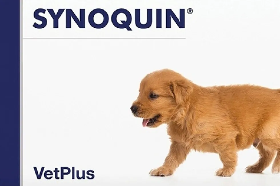 Vetplus Ltd Synoquin Growth - Integratore per lo sviluppo articolare dei cuccioli, 60 compresse