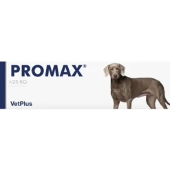 Vetplus Promax Large Breed integratore - Pasta antidiarroica per cani grandi, Siringa da 30 ml