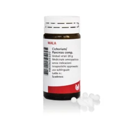 Wala Cichorium pancreas 20g globuli - Medicinale omeopatico per i disturbi digestivi, 20 g
